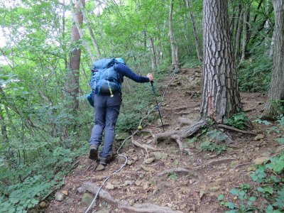 登山道
