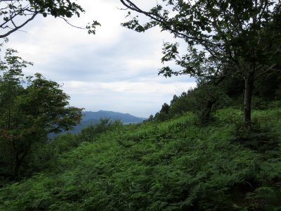 展望台から日本海／粟島を望む